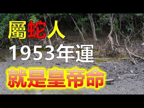 1953屬什麼|1953是民國幾年？1953是什麼生肖？1953幾歲？